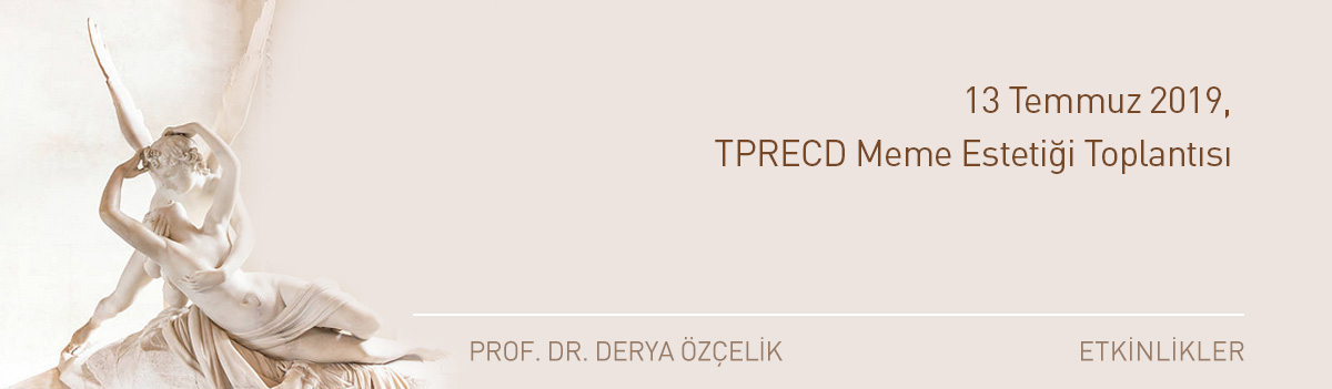 13 Temmuz 2019 TPRECD Meme Estetiği Toplantısı